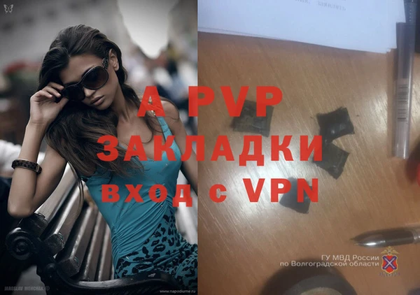 скорость Корсаков