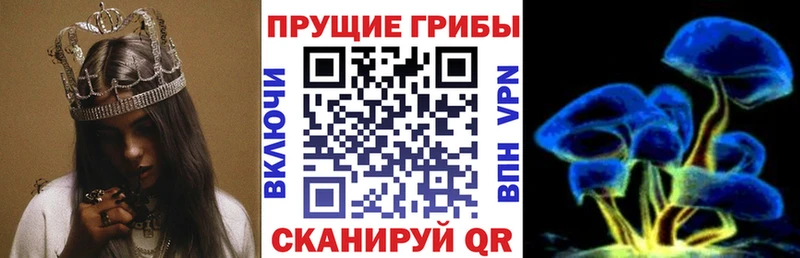 купить наркотики сайты  Чистополь  Галлюциногенные грибы мицелий 