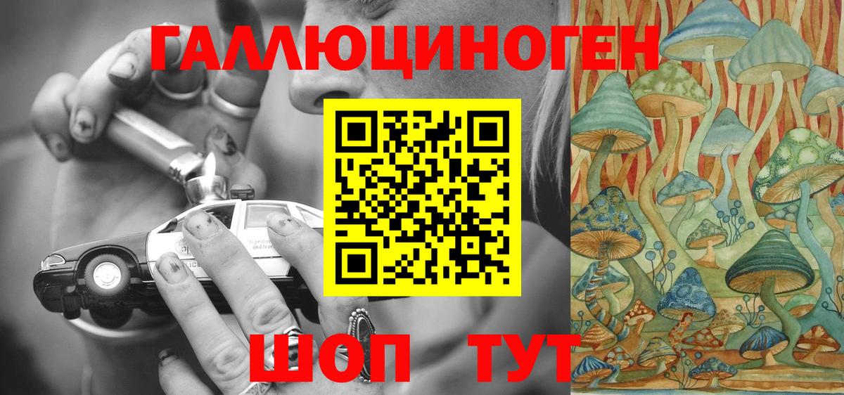Чистополь  Галлюциногенные грибы MAGIC MUSHROOMS  Вход с VPN 