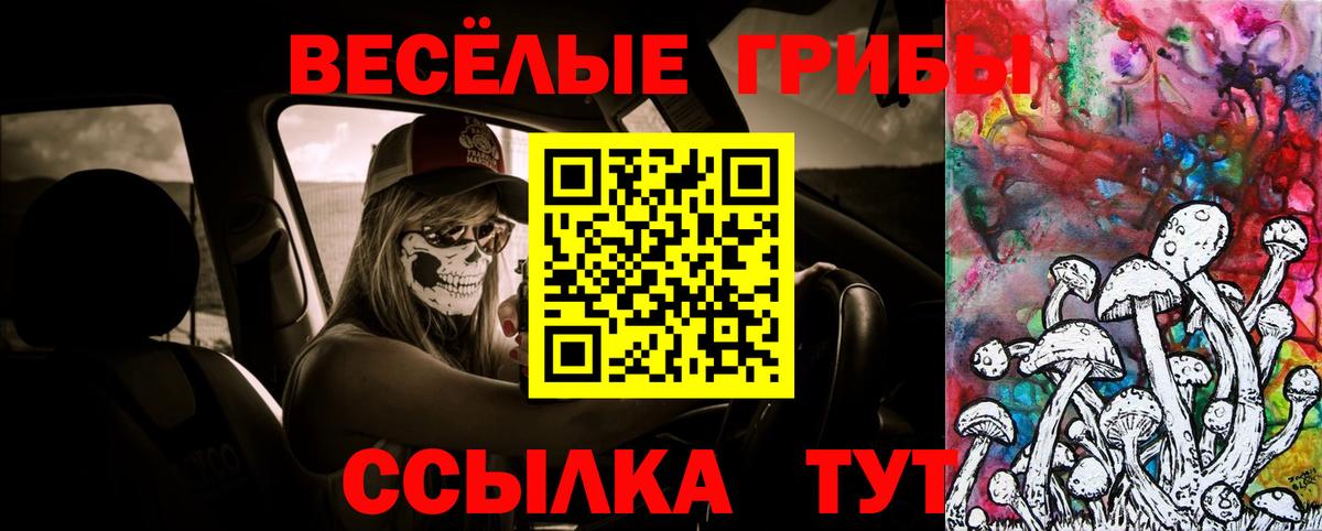 Псилоцибиновые грибы ЛСД Чистополь