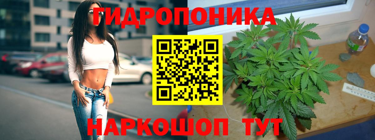 Бошки марихуана план  Вход с VPN  Чистополь  Конопля семена  Бошки марихуана THC 21% 